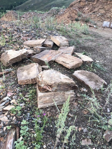 Плитняк кора дерева 50-100мм для пошаговых дорожек купить в Томске